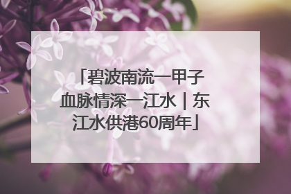 碧波南流一甲子 血脉情深一江水｜东江水供港60周年