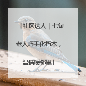 社区达人｜七旬老人巧手化朽木，温情暖邻里