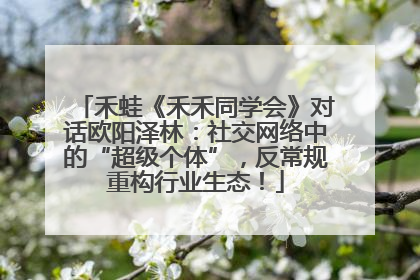 禾蛙《禾禾同学会》对话欧阳泽林：社交网络中的“超级个体”，反常规重构行业生态！