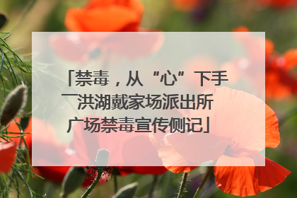 禁毒，从“心”下手――洪湖戴家场派出所广场禁毒宣传侧记