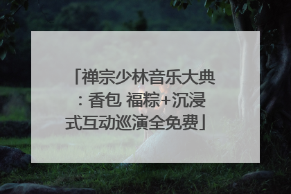 禅宗少林音乐大典：香包 福粽+沉浸式互动巡演全免费