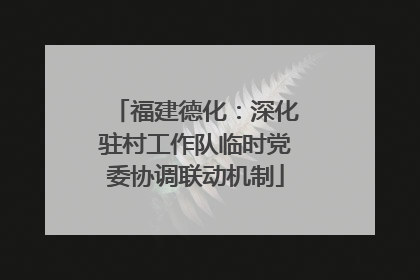 福建德化：深化驻村工作队临时党委协调联动机制