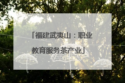 福建武夷山：职业教育服务茶产业