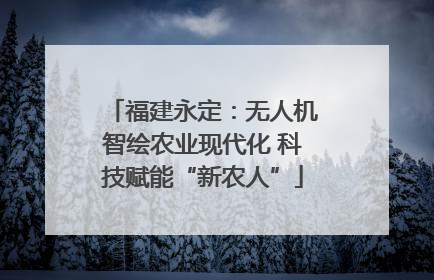 福建永定：无人机智绘农业现代化 科技赋能“新农人”