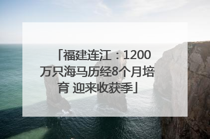 福建连江：1200万只海马历经8个月培育 迎来收获季