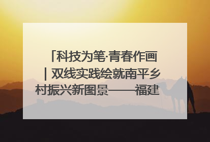 科技为笔·青春作画｜双线实践绘就南平乡村振兴新图景——福建农林大学金山学院青年学子以智慧与科技激活乡村发展新动能
