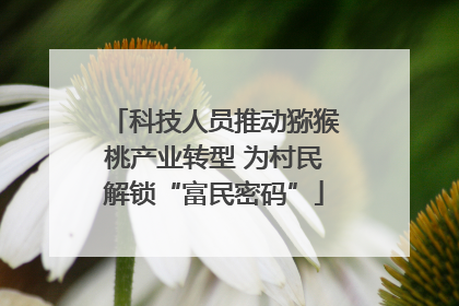 科技人员推动猕猴桃产业转型 为村民解锁“富民密码”