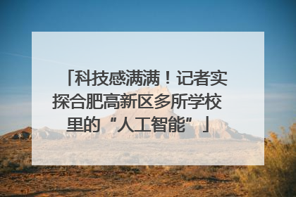 科技感满满！记者实探合肥高新区多所学校里的“人工智能”