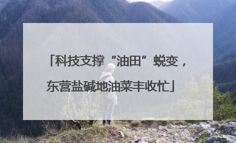 科技支撑“油田”蜕变，东营盐碱地油菜丰收忙