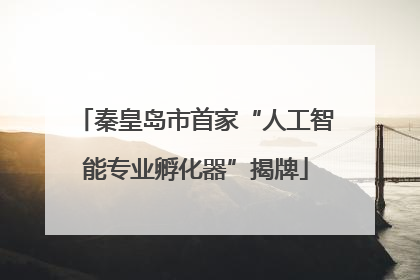 秦皇岛市首家“人工智能专业孵化器”揭牌