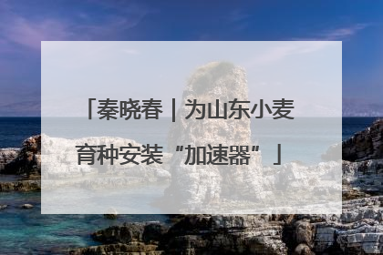 秦晓春｜为山东小麦育种安装“加速器”