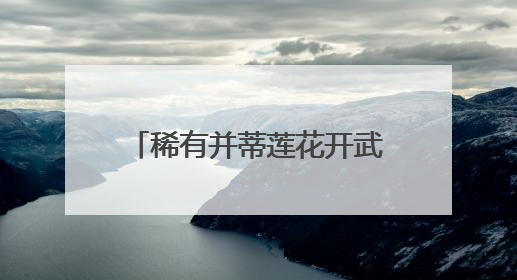 稀有并蒂莲花开武汉，今夏全城28处公园点位可赏荷