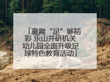 童趣“足”够精彩 乐山井研机关幼儿园全面升级足球特色教育活动