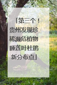 第三个！贵州发现珍稀濒危植物睡莲叶杜鹃新分布点