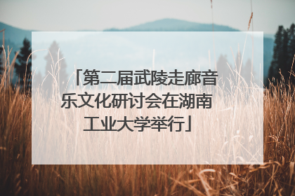 第二届武陵走廊音乐文化研讨会在湖南工业大学举行