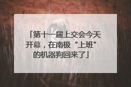 第十一届上交会今天开幕，在南极“上班”的机器狗回来了