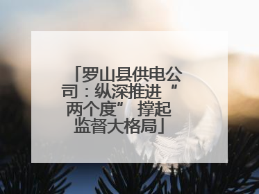 罗山县供电公司：纵深推进“两个度” 撑起监督大格局