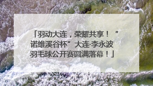 羽动大连，荣耀共享！“诺维溪谷杯”大连·李永波羽毛球公开赛圆满落幕！