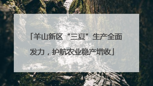 羊山新区“三夏”生产全面发力，护航农业稳产增收