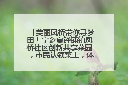 美丽凤桥带你寻梦田！宁乡夏铎铺镇凤桥社区创新共享菜园，市民认领菜土，体验耕种收获乐趣