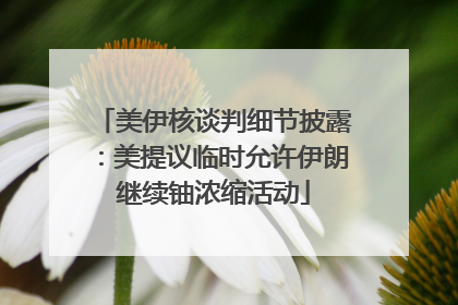 美伊核谈判细节披露：美提议临时允许伊朗继续铀浓缩活动