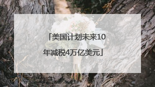 美国计划未来10年减税4万亿美元
