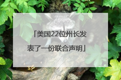 美国22位州长发表了一份联合声明