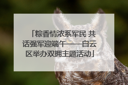 粽香情浓系军民 共话强军迎端午——白云区举办双拥主题活动