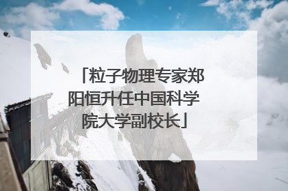 粒子物理专家郑阳恒升任中国科学院大学副校长