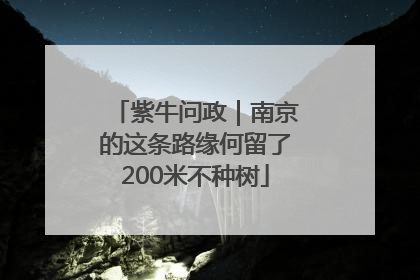 紫牛问政｜南京的这条路缘何留了200米不种树