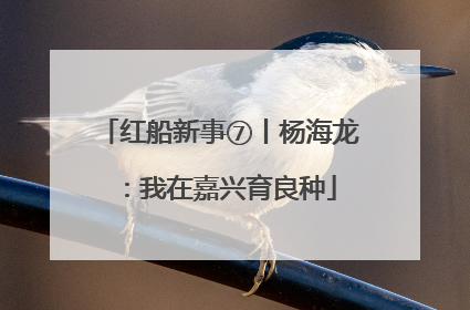 红船新事⑦丨杨海龙：我在嘉兴育良种