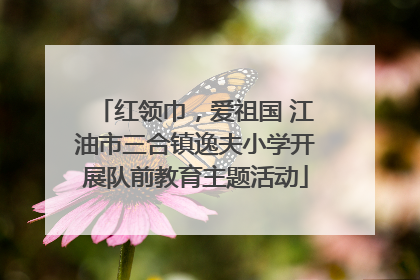 红领巾，爱祖国 江油市三合镇逸夫小学开展队前教育主题活动