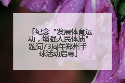 纪念“发展体育运动，增强人民体质”题词73周年郑州手球活动启幕