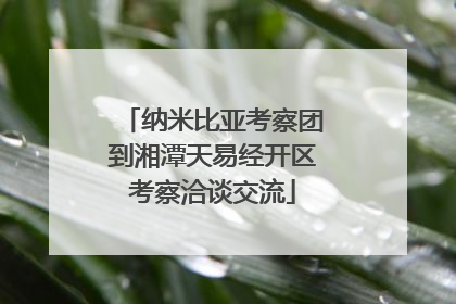 纳米比亚考察团到湘潭天易经开区考察洽谈交流