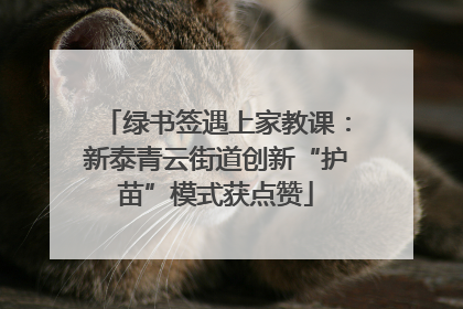 绿书签遇上家教课：新泰青云街道创新“护苗”模式获点赞