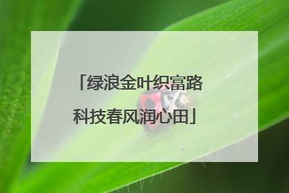 绿浪金叶织富路 科技春风润心田
