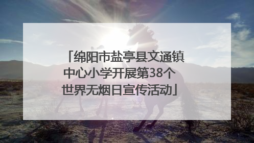 绵阳市盐亭县文通镇中心小学开展第38个世界无烟日宣传活动