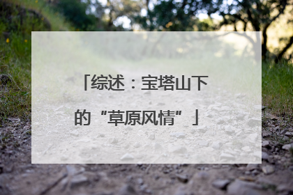 综述：宝塔山下的“草原风情”