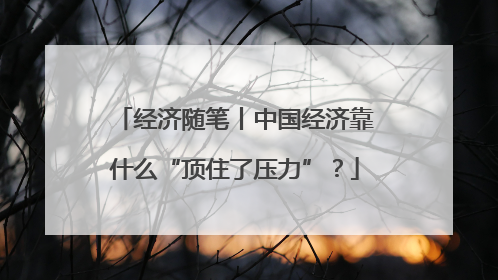 经济随笔丨中国经济靠什么“顶住了压力”？