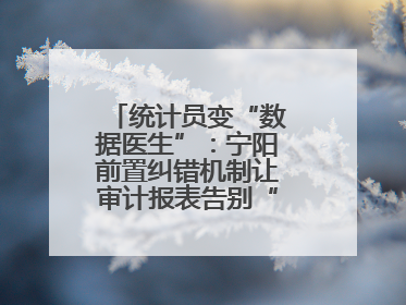 统计员变“数据医生”：宁阳前置纠错机制让审计报表告别“带病上岗”