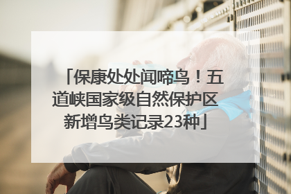 保康处处闻啼鸟！五道峡国家级自然保护区新增鸟类记录23种