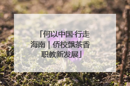 何以中国·行走海南｜侨校飘茶香 职教新发展