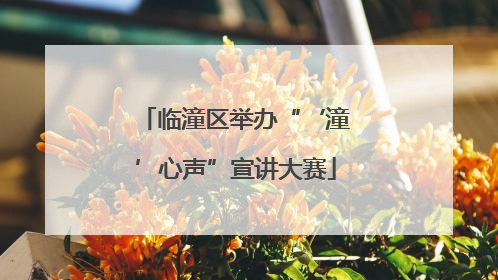 临潼区举办“‘潼’心声”宣讲大赛
