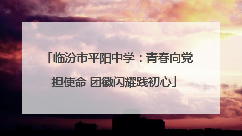 临汾市平阳中学：青春向党担使命 团徽闪耀践初心