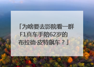 为啥要去影院看一群F1真车手陪62岁的布拉德·皮特飙车？
