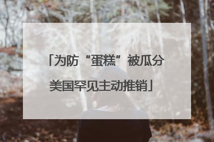 为防“蛋糕”被瓜分 美国罕见主动推销