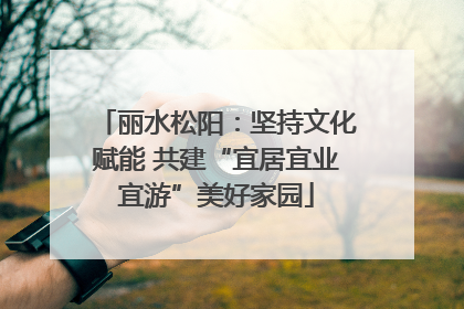 丽水松阳：坚持文化赋能 共建“宜居宜业宜游”美好家园
