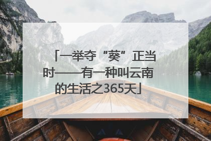 一举夺“葵”正当时——有一种叫云南的生活之365天