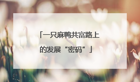 一只麻鸭共富路上的发展“密码”