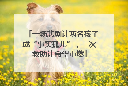 一场悲剧让两名孩子成“事实孤儿”，一次救助让希望重燃